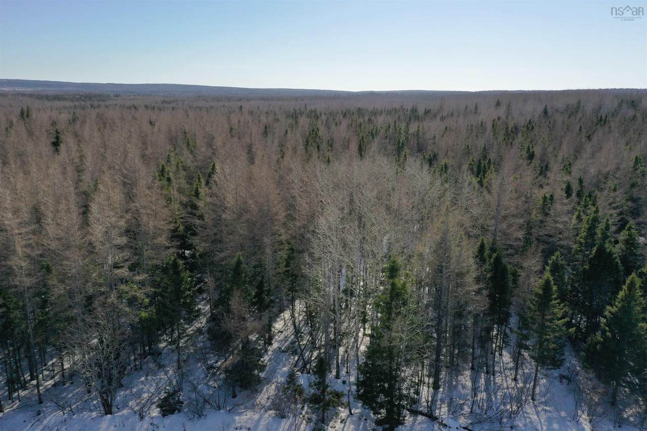 https://bt-photos.global.ssl.fastly.net/novascotia/1280_boomver_1_202604277-2.jpg