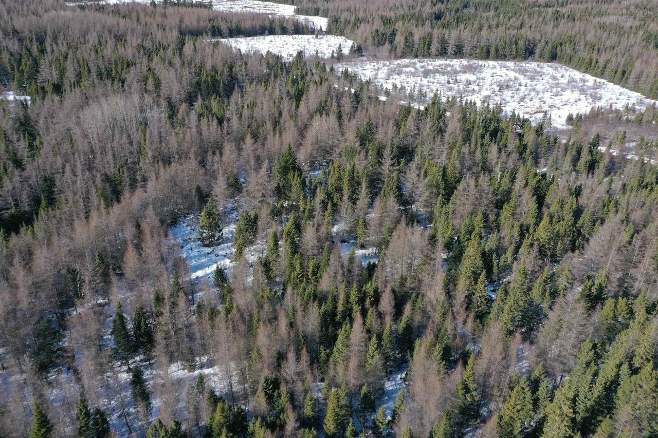 https://bt-photos.global.ssl.fastly.net/novascotia/1280_boomver_1_202604277-2.jpg