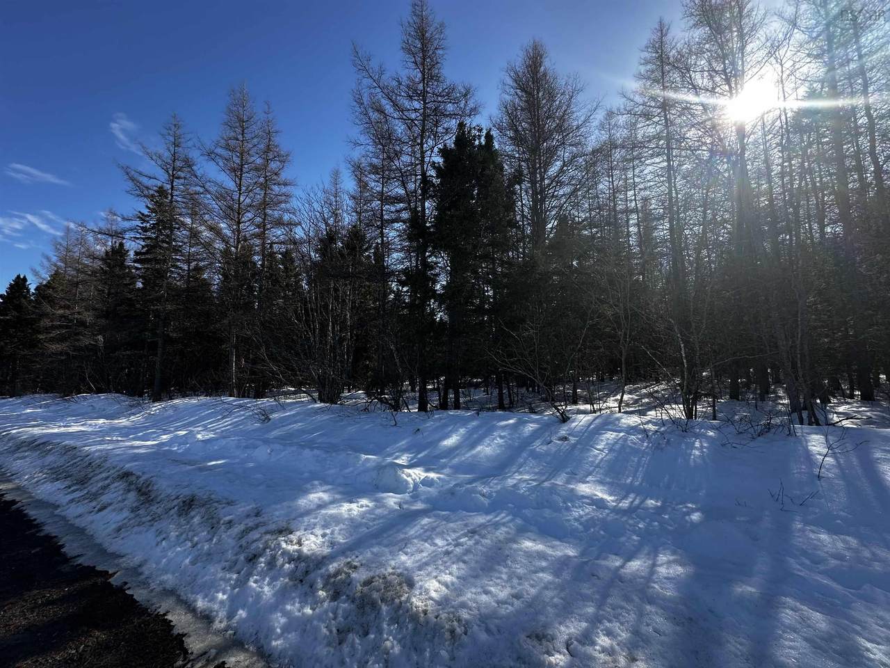  Whycocomagh-Port Hood Road - Photo 1