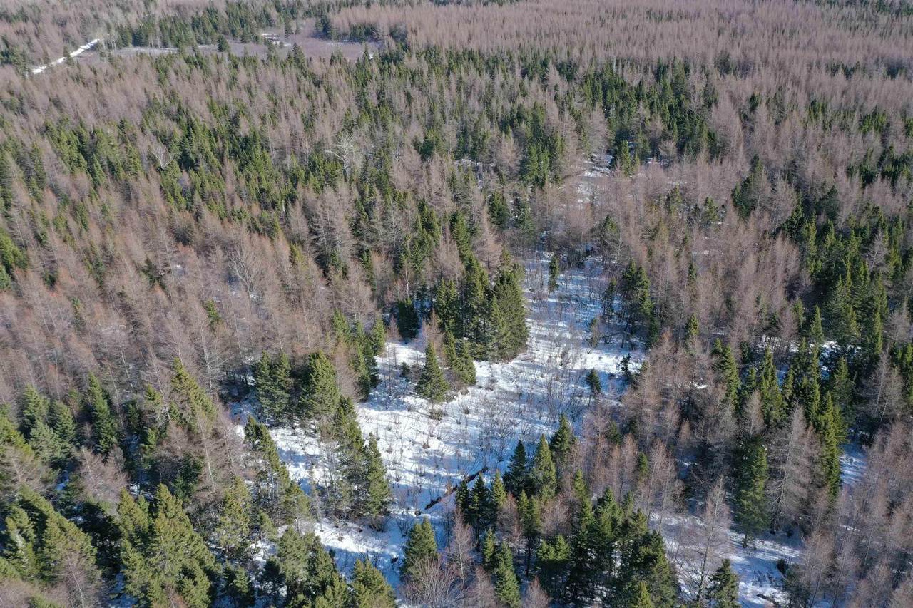 https://bt-photos.global.ssl.fastly.net/novascotia/1280_boomver_1_202604278-2.jpg