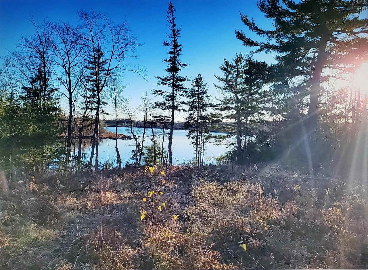 https://bt-photos.global.ssl.fastly.net/novascotia/1280_boomver_1_202604521-2.jpg
