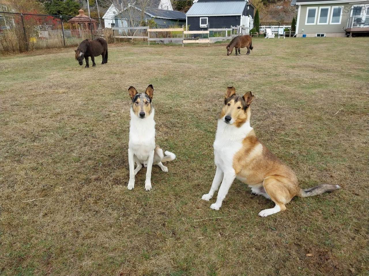https://bt-photos.global.ssl.fastly.net/novascotia/1280_boomver_1_202608461-2.jpg