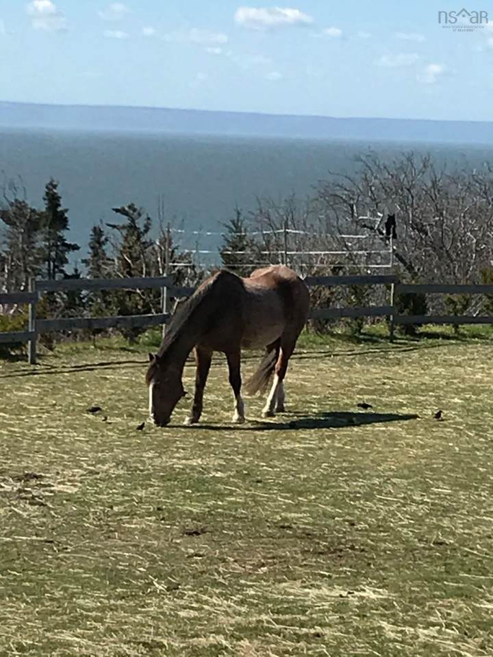 https://bt-photos.global.ssl.fastly.net/novascotia/1280_boomver_1_202608461-2.jpg