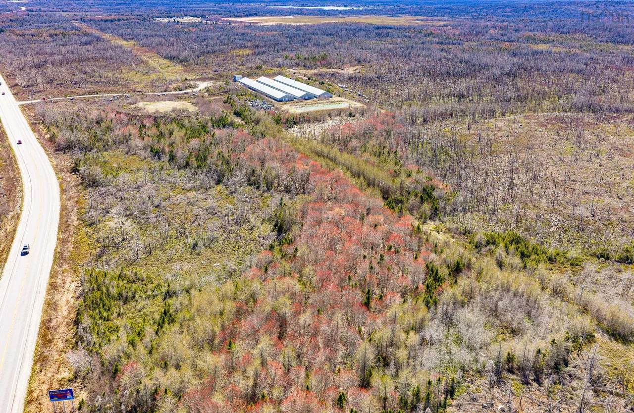 406 Highway 103 - Photo 1