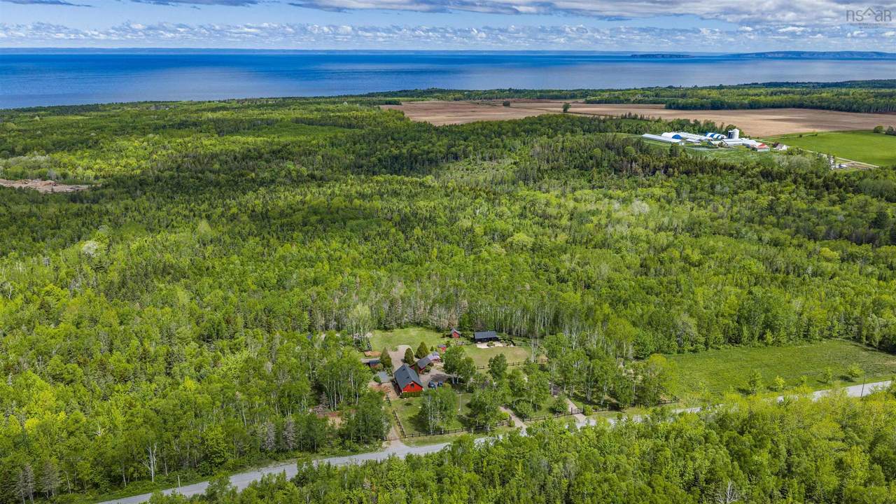 95 Forest Glade Road - Photo 1