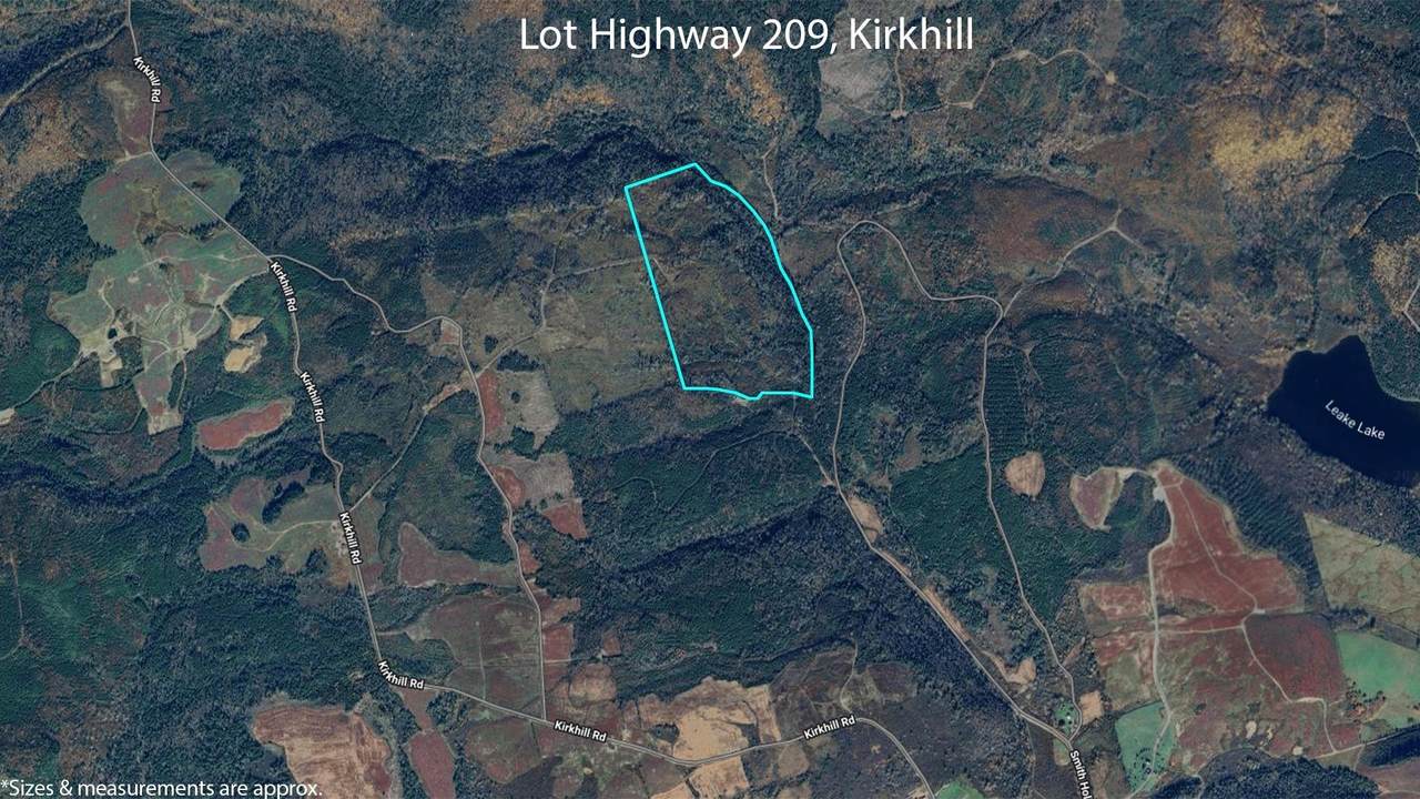  Highway 209 - Photo 1