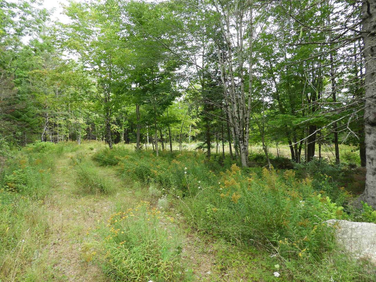 https://bt-photos.global.ssl.fastly.net/novascotia/1280_boomver_1_202622162-2.jpg