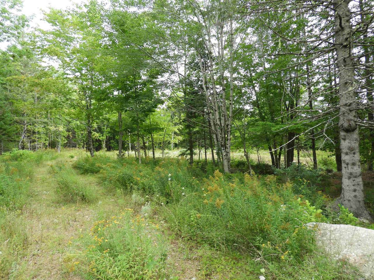 https://bt-photos.global.ssl.fastly.net/novascotia/1280_boomver_1_202622162-2.jpg