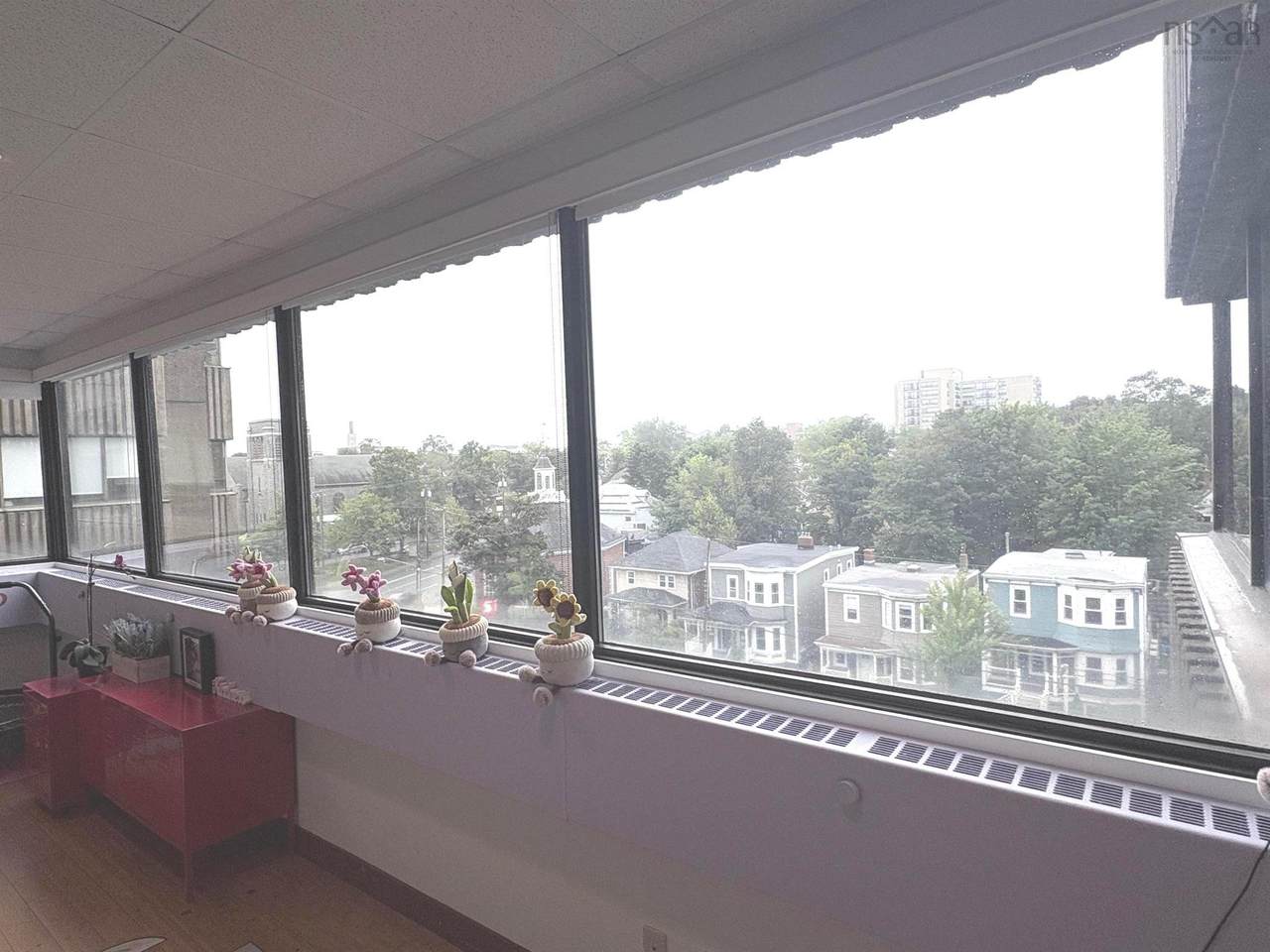 5991 Spring Garden Road - Photo 1