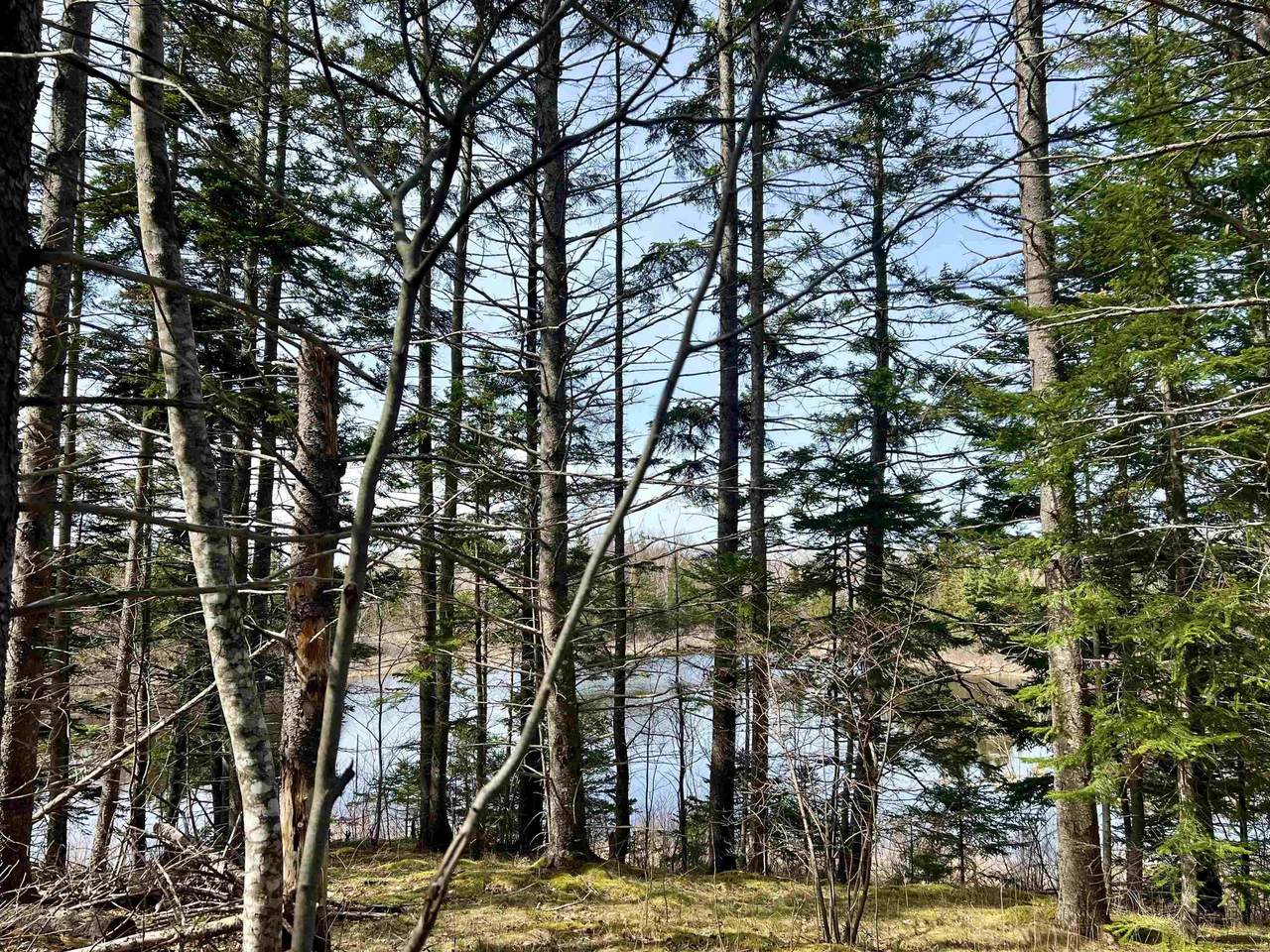 https://bt-photos.global.ssl.fastly.net/novascotia/1280_boomver_2_202510167-2.jpg