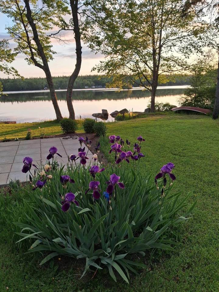 https://bt-photos.global.ssl.fastly.net/novascotia/1280_boomver_1_202616870-2.jpg