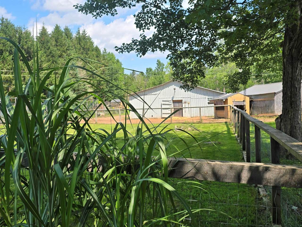 1106 Tetzlaff Road - Photo 1