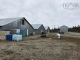 406 Highway 103 - Photo 6