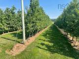 2481 Black Rock Road - Photo 19