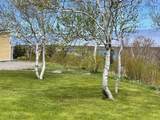 15 & 17 Chemin Pond Du Bras Road - Photo 12