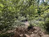 1520 Back Road - Photo 45