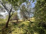 1520 Back Road - Photo 5