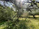 1520 Back Road - Photo 6