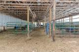 894 Morden Road - Photo 21