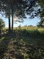  Ripley Road - Photo 7
