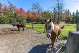 34 Horne Settlement Road - Photo 41