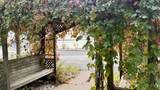 41 Colleraine Street - Photo 46