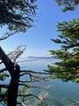  Bay Bluff Road - Photo 15