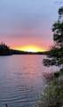 8274 7 Highway - Photo 48