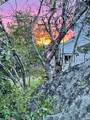 8274 7 Highway - Photo 49