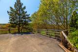 481 Chute Road - Photo 50