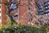 5959 Spring Garden Road - Photo 3