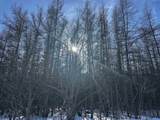  Whycocomagh-Port Hood Road - Photo 17