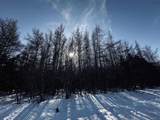  Whycocomagh-Port Hood Road - Photo 17