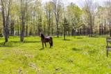 278 Fitch Road - Photo 12