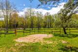 278 Fitch Road - Photo 44