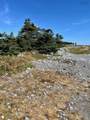  (Pid 70044946) Shore Road - Photo 12
