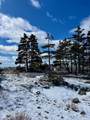  (Pid 70044946) Shore Road - Photo 25