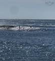  (Pid 70044946) Shore Road - Photo 6