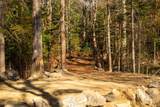  Little Deer Lane - Photo 12