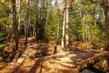  Little Deer Lane - Photo 13