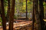  Little Deer Lane - Photo 14