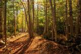  Little Deer Lane - Photo 15