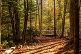 Little Deer Lane - Photo 16