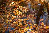  Little Deer Lane - Photo 19