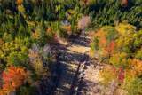  Little Deer Lane - Photo 4