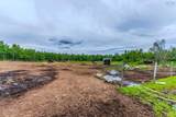 1554 Pleasant Valley Road - Photo 44