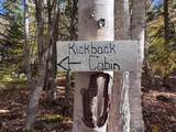 47403 Cabot Trail - Photo 22