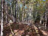 47403 Cabot Trail - Photo 27