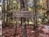47403 Cabot Trail - Photo 28