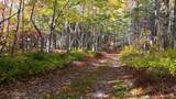 47403 Cabot Trail - Photo 29
